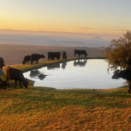 Uitzicht Private Nature Reserve And Lodge フーリーズバーグ エクステリア 写真