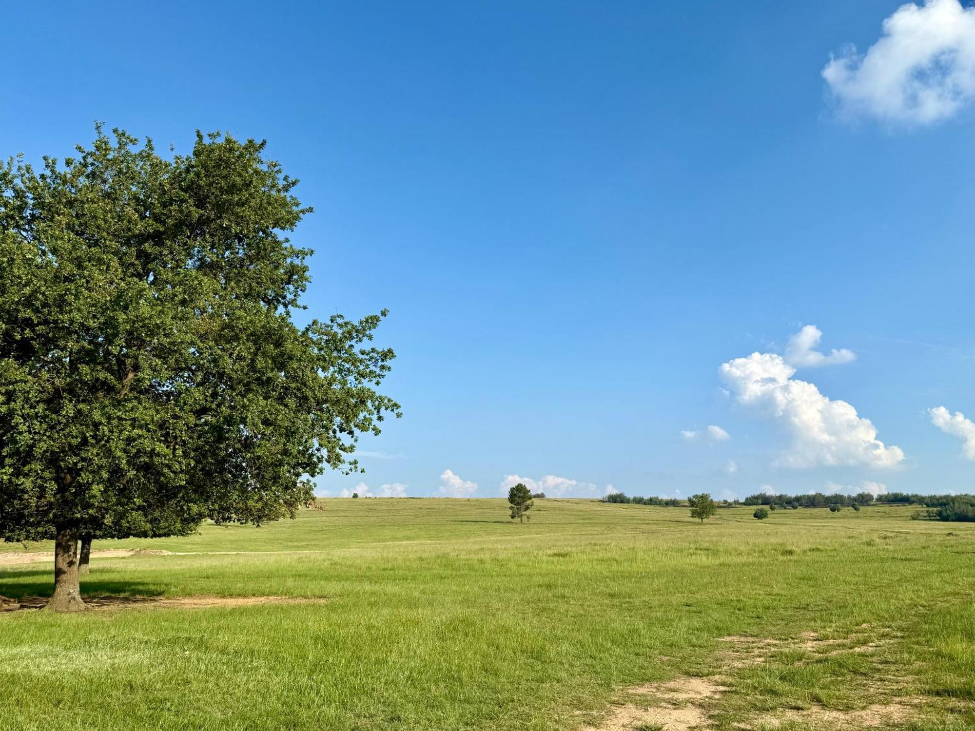 Uitzicht Private Nature Reserve And Lodge フーリーズバーグ 部屋 写真