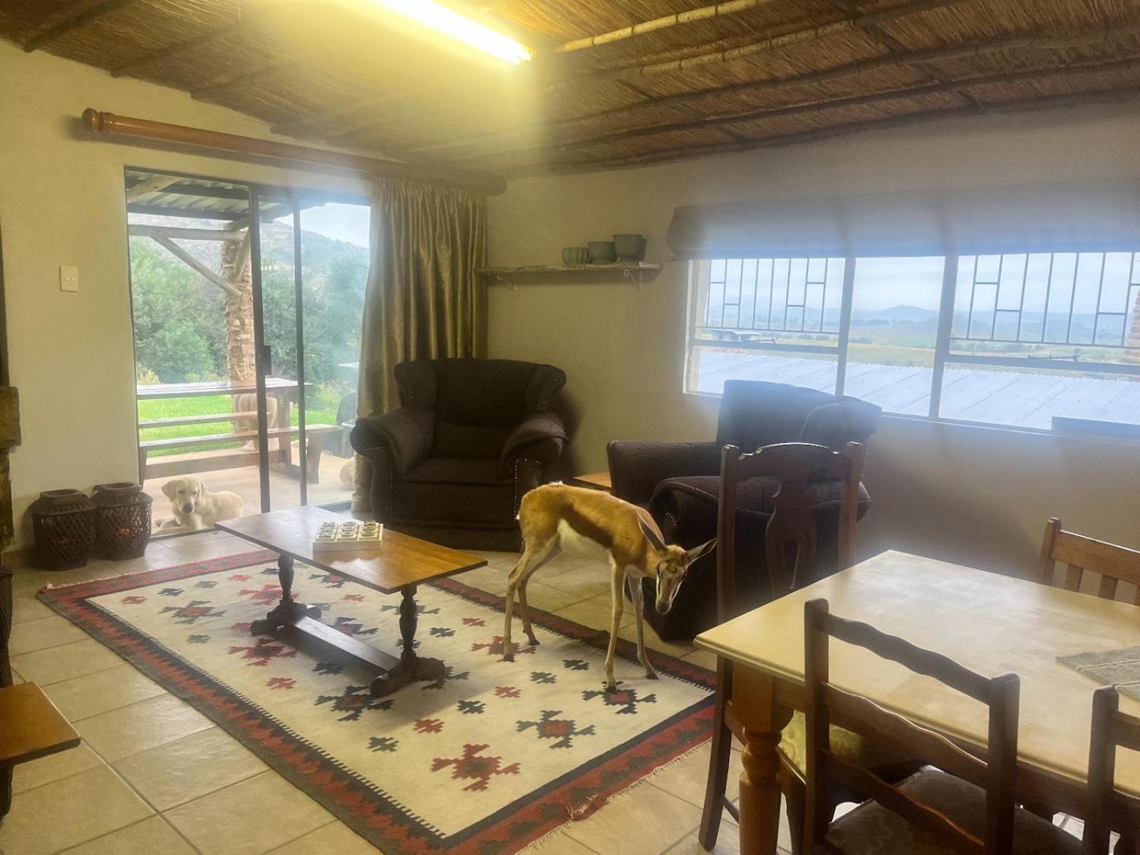 Uitzicht Private Nature Reserve And Lodge フーリーズバーグ エクステリア 写真