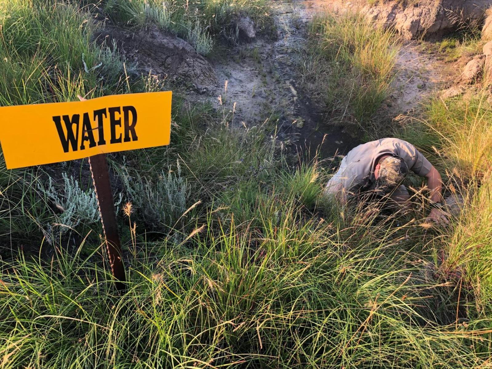 Uitzicht Private Nature Reserve And Lodge フーリーズバーグ エクステリア 写真